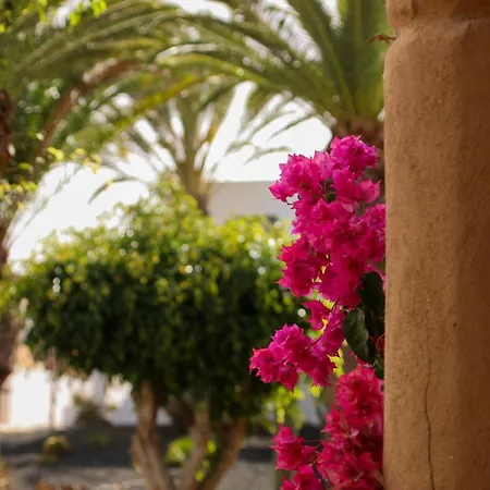 Апартаменты Luluhogar Fuerteventura